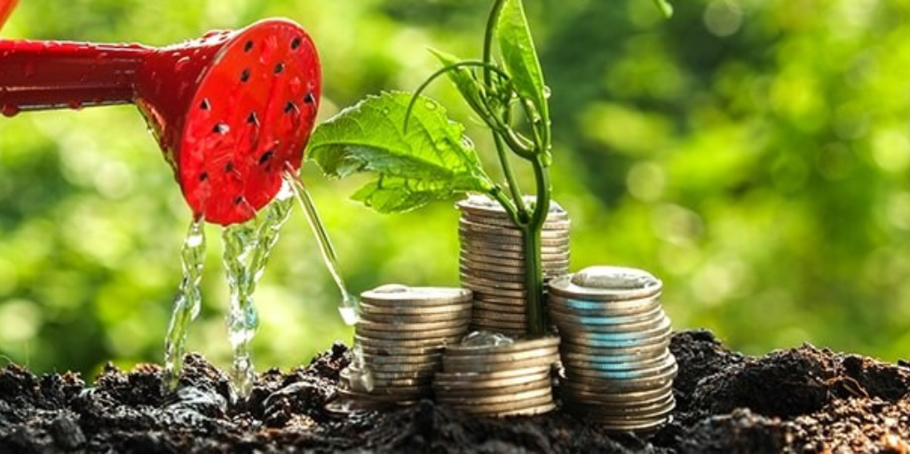 The Importance of A Family-Owned Business Succession Plan